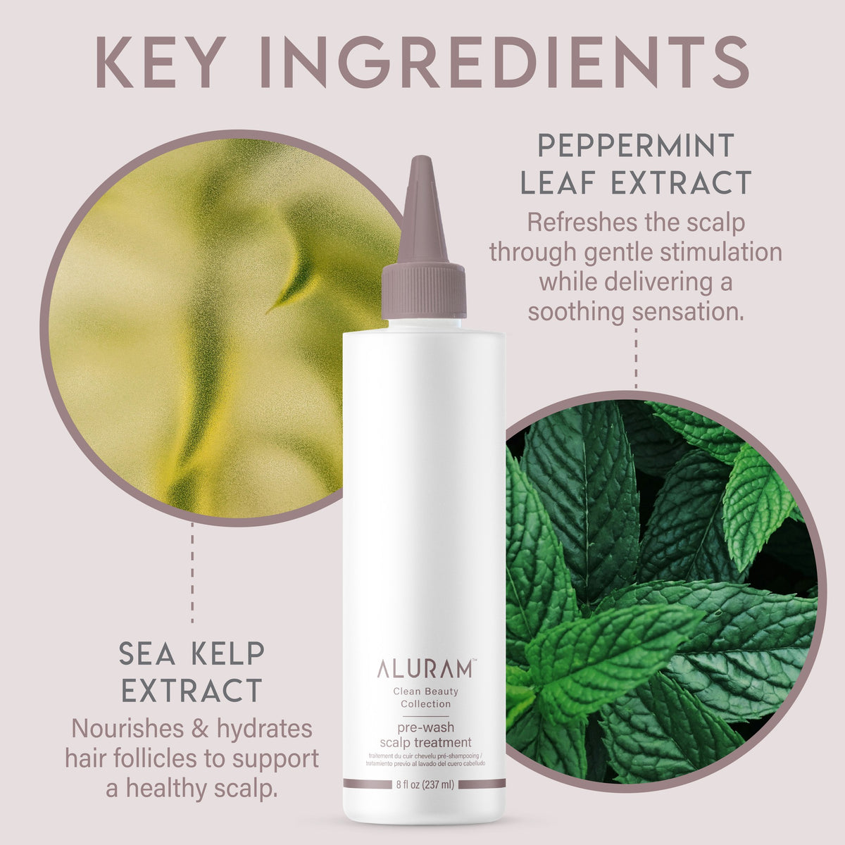 Aluram Prewash Scalp Treatment
