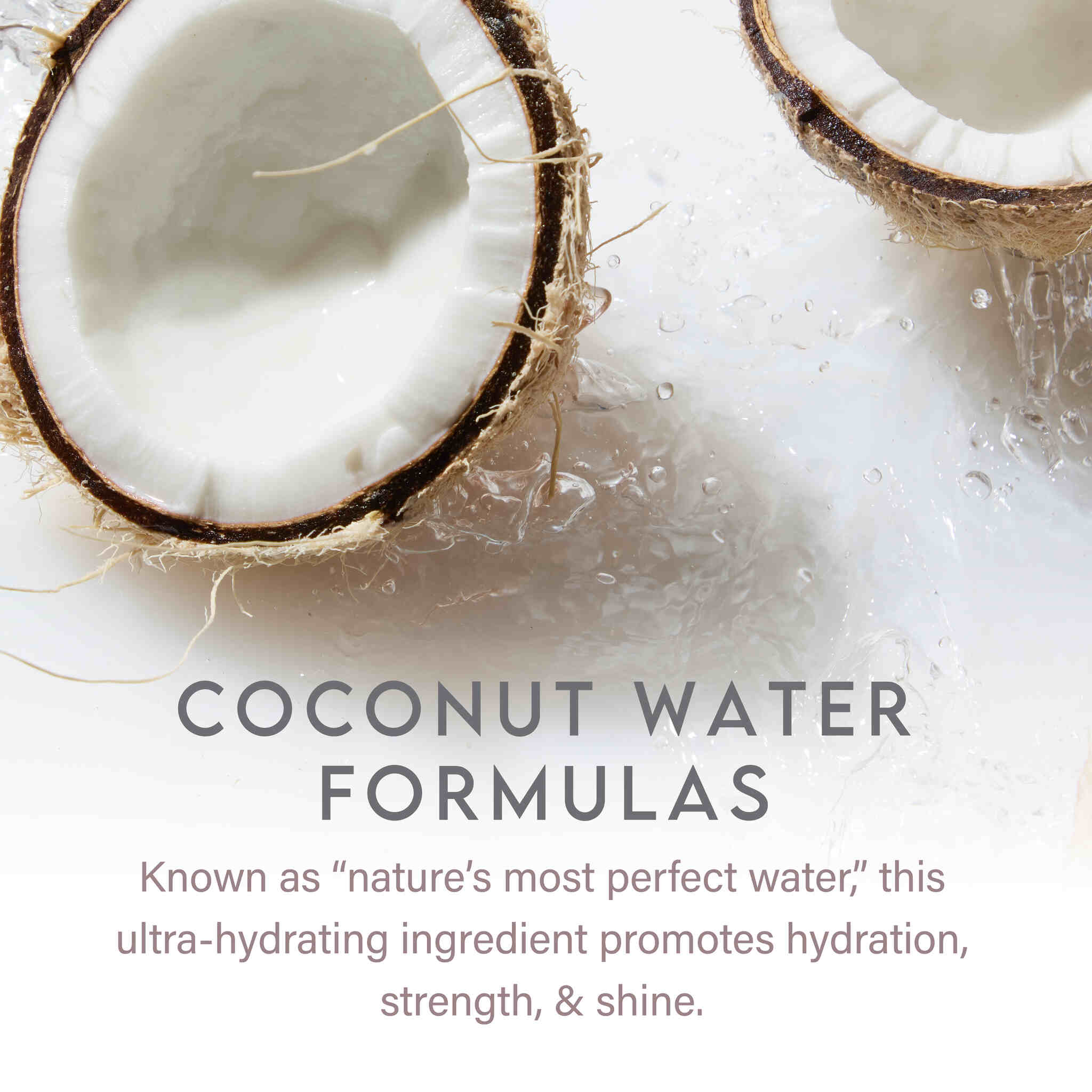 Leave-in Conditioner