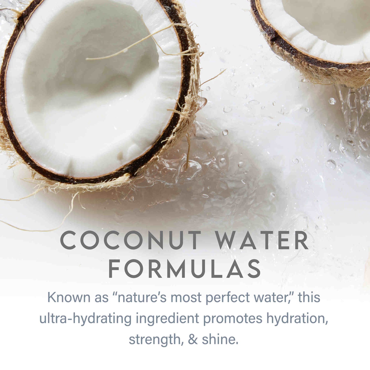 Moisturizing Shampoo