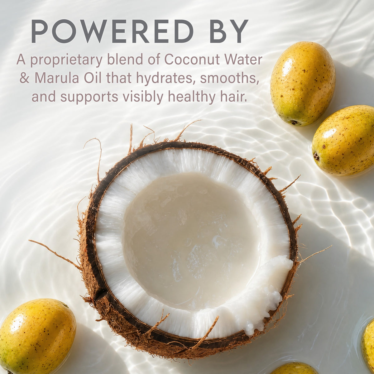 Aluram Leave-in Conditioner