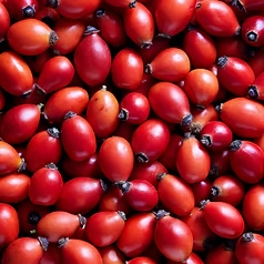 Rosehip Oil