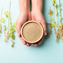 Quinoa Extract